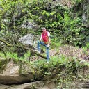 ���������� ��������, ���� ������� ����, 38 ���, ������������ ��� ������, ����� � ���������, c�������� ���������