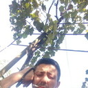 ���������� ������, ���� ������� ��������, 40 ���, ������������ ��� ������, ����� � ���������, c�������� ���������