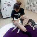 ���������� ��������, ���� ������� ������, 34 ����, ������������ ��� ���������