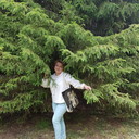 ���������� �����-���������, ���� ������� ������, 52 ����, ������������ ��� ����� � ���������, c�������� ���������