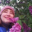  ,   , 61 ,     , c 