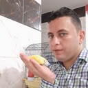 Al Ghardaqah,   Mahmoud, 36 ,   ,   