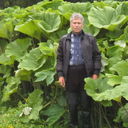  ,   , 64 ,   