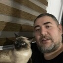 ���������� ������, ���� ������� Bay, 48 ���, ������������ ��� ������, ����� � ���������