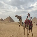 ���������� ���������, ���� ������� �������, 33 ����, ������������ ��� ������, ����� � ���������, c�������� ���������, ���������