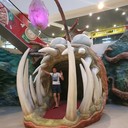 ���������� ���������, ���� ������� �������, 35 ���, ������������ ��� ����� � ���������, c�������� ���������