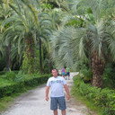 ���������� �������, ���� ������� �����, 50 ���, ������������ ��� ������