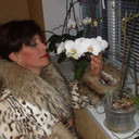  ,   , 58 ,   