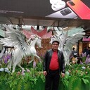 ���������� ���������, ���� ������� ������, 45 ���, ������������ ��� ������