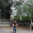  ,   Ramin, 40 ,   ,   , c 