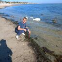  ,   , 34 ,   ,   , c , 