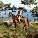  ,   , 45 ,   ,   , c , 