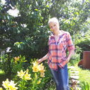 ���������� �����, ���� ������� �������, 45 ���, ������������ ��� ����� � ���������, c�������� ���������