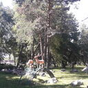  --,   , 34 ,     , c 