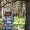 ���������� ��������, ���� ������� �������, 43 ����, ������������ ��� ������, ����� � ���������