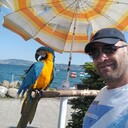  ,   Hamza, 45 ,   ,   