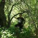 ���������� �����������, ���� ������� Serega, 40 ���, ������������ ��� ������, ����� � ���������, c�������� ���������