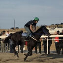  ,   , 40 ,   ,   , c , 