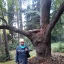  ,   , 65 ,  