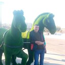 ���������� ���������, ���� ������� ������, 39 ���, ������������ ��� c�������� ���������, ���������