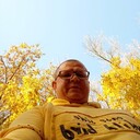  --,   , 38 ,   ,   