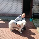  ,   , 37 ,   c , 