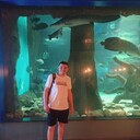 ���������� ������, ���� ������� �����, 32 ����, ������������ ��� ������, ����� � ���������, ���������