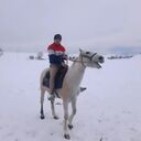 ���������� ������, ���� ������� ������, 28 ���, ������������ ��� ������, ����� � ���������