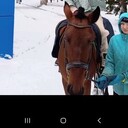 ���������� ��������, ���� ������� ����, 55 ���, ������������ ��� ������, ����� � ���������, c�������� ���������