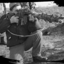 ���������� ���������, ���� ������� ����, 47 ���, ������������ 