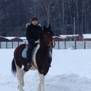 ���������� ��������, ���� ������� �����, 36 ���, ������������ ��� ������, ����� � ���������, c�������� ���������