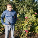 ���������� �������, ���� ������� �����, 43 ����, ������������ 