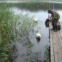 ���������� ������, ���� ������� �������, 62 ����, ������������ ��� ������, ����� � ���������, c�������� ���������