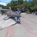  ,   , 37 ,   ,   , c 