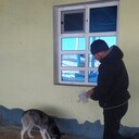  ,   Albert, 49 ,   ,   