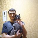 ���������� �������, ���� ������� �������, 38 ���, ������������ ��� ������, ����� � ���������