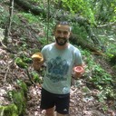 ���������� ���������, ���� ������� �����, 42 ����, ������������ ��� ������, ����� � ���������, c�������� ���������