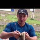 ���������� ���������, ���� ������� �������, 32 ����, ������������ ��� ������, ����� � ���������, c�������� ���������