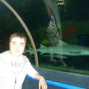 ���������� ������, ���� ������� �������, 38 ���, ������������ ��� ������