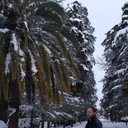 ���������� ���������, ���� ������� Deny, 48 ���, ������������ ��� ������, ����� � ���������, c�������� ���������