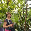 ���������� ������, ���� ������� �����, 61 ���, ������������ ��� c�������� ���������