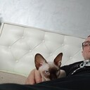  ,   , 32 ,   ,   , c , 