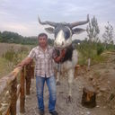  ,   Issa, 56 ,   