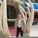 ���������� ������, ���� ������� �������, 39 ���, ������������ ��� ������, ����� � ���������