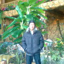  ,   , 31 ,   