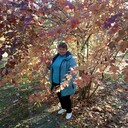  ,   , 56 ,   ,   , c 