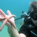 ���������� ����, ���� ������� ����, 59 ���, ������������ ��� ������, ����� � ���������, c�������� ���������