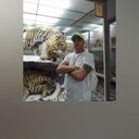 ���������� �����-���������, ���� ������� ����, 54 ����, ������������ ��� c�������� ���������