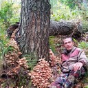 ���������� ���������, ���� ������� �������, 37 ���, ������������ ��� c�������� ���������, ���������