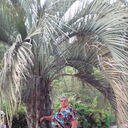  ,   , 67 ,   ,   , c , 